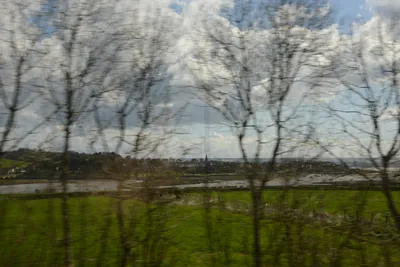 DSC_7210 (Large).JPG